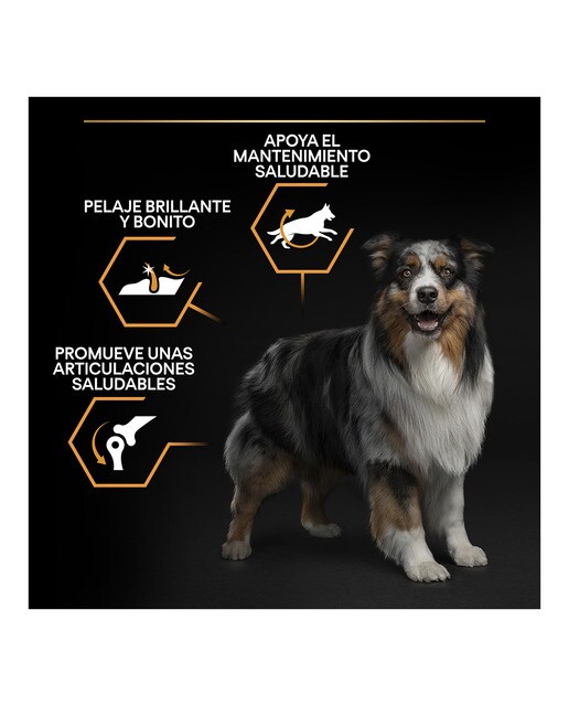 Imagen 3 de Pienso para perros adultos medianos Purina Pro Plan Everyday Nutrition pollo