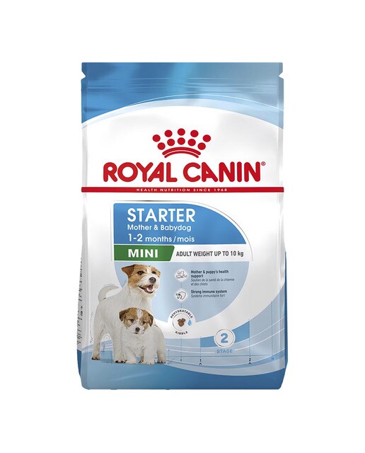 Royal Canin - Pienso para hembras gestantes, lactantes y cachorros Mini Royal Canin Starter Mother & Babydog