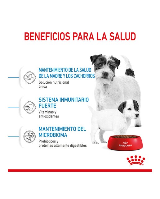 Pienso para hembras gestantes, lactantes y cachorros Mini Royal Canin Starter Mother & Babydog 3