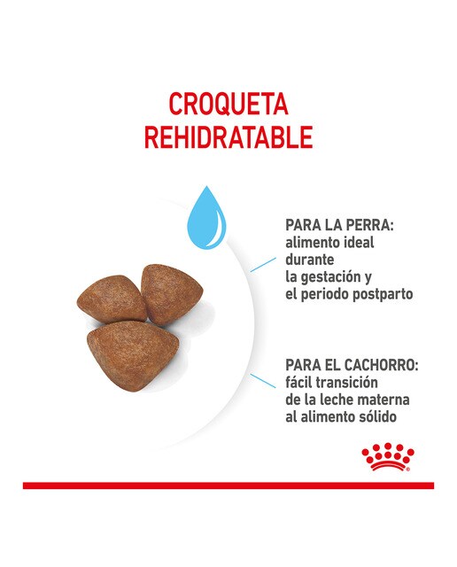 Pienso para hembras gestantes, lactantes y cachorros Mini Royal Canin Starter Mother & Babydog 5