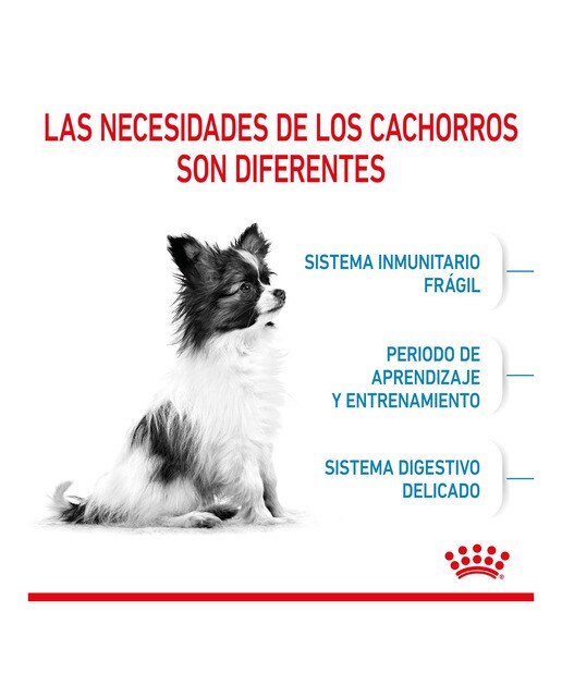 Pienso para perros cachorros Royal Canin X-Small 5