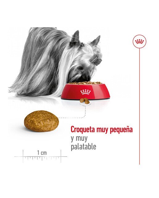 Pienso para perros adultos Royal Canin X-Small 6