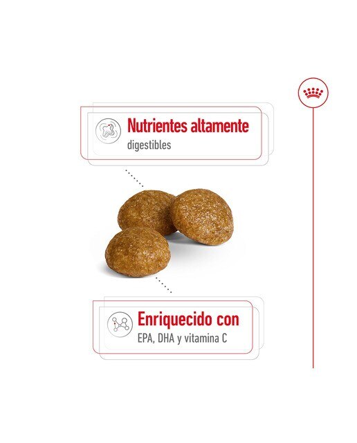 Pienso para perros adultos Royal Canin X-Small 7