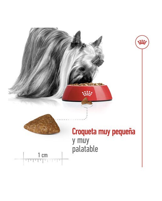 Pienso para perros sénior Royal Canin X-Small Ageing +12 1,5 kg 6