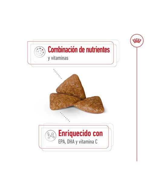 Pienso para perros sénior Royal Canin X-Small Ageing +12 1,5 kg 7