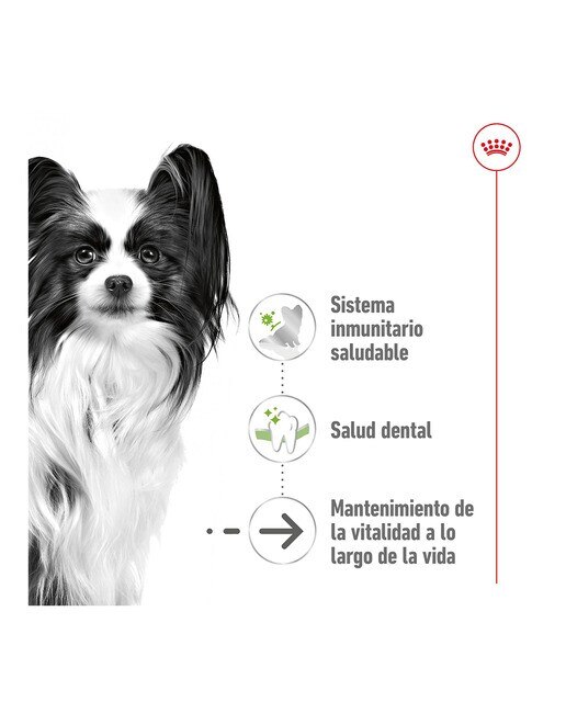 Pienso para perros sénior Royal Canin X-Small Ageing +12 1,5 kg 8