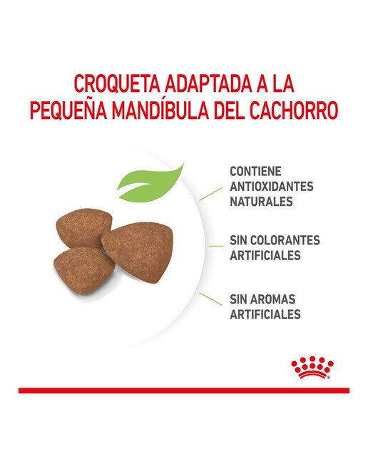 Pienso para perros cachorros mini Royal Canin 3