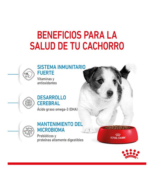 Pienso para perros cachorros mini Royal Canin 4