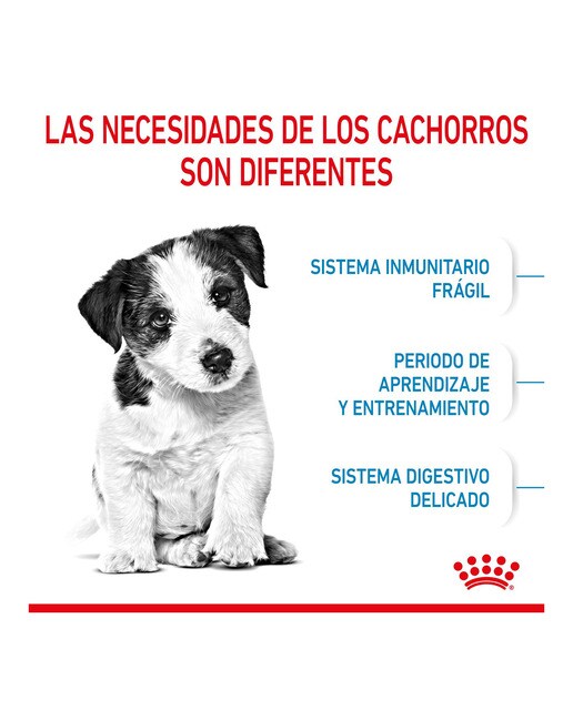 Pienso para perros cachorros mini Royal Canin 5