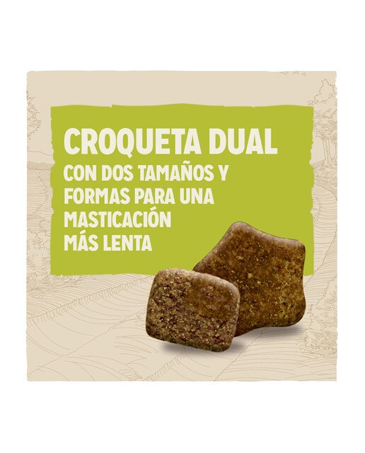 Pienso para perros adultos Dog Chow pollo 14 kg 2