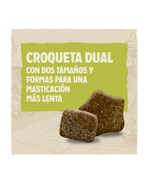 Pienso para perros adultos Dog Chow cordero 14 kg 2