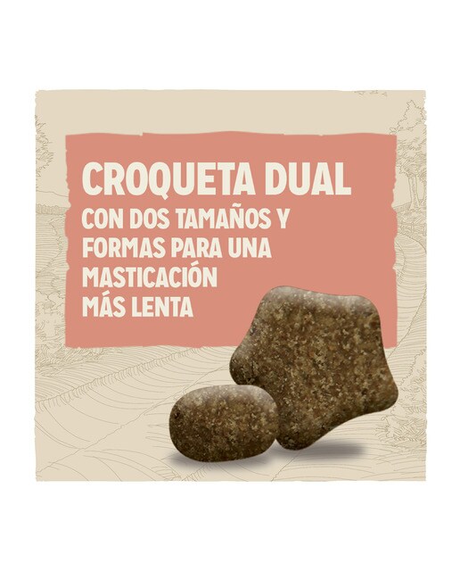 Pienso para perros adultos Dog Chow Sensitive salmón 2