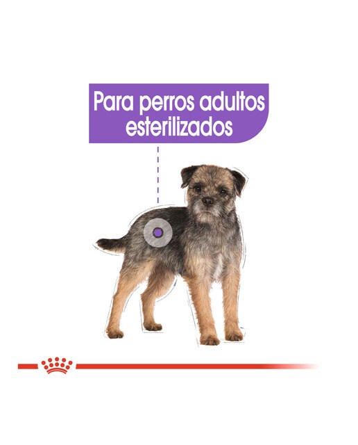 Pienso para perros adultos mini Royal Canin Sterilised 2