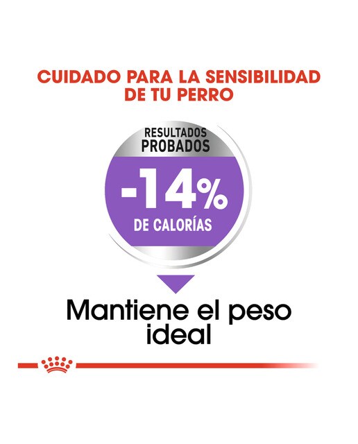 Pienso para perros adultos mini Royal Canin Sterilised 3