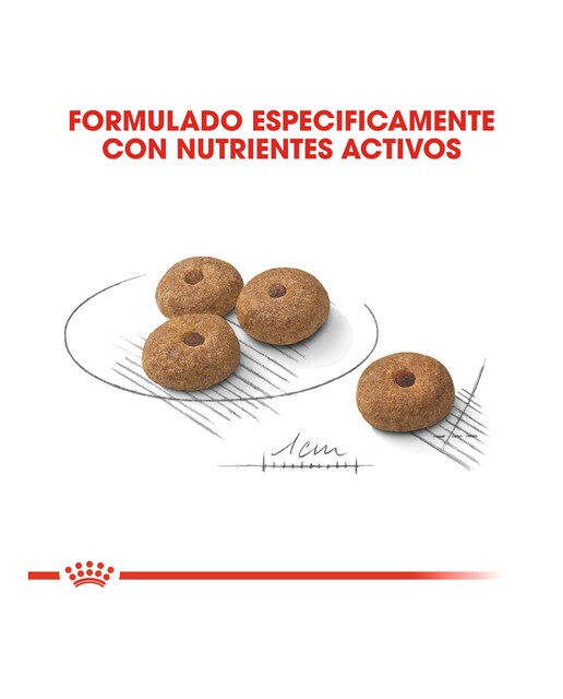 Pienso para perros adultos mini Royal Canin Sterilised 4