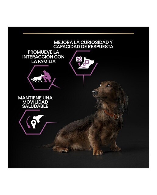Pienso para perros sénior +9 Purina Pro Plan Small & Mini Age 3 kg 3