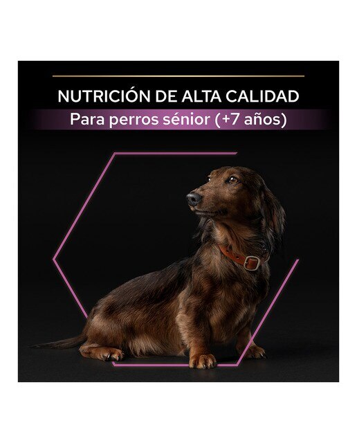 Pienso para perros sénior +9 Purina Pro Plan Small & Mini Age 3 kg 7
