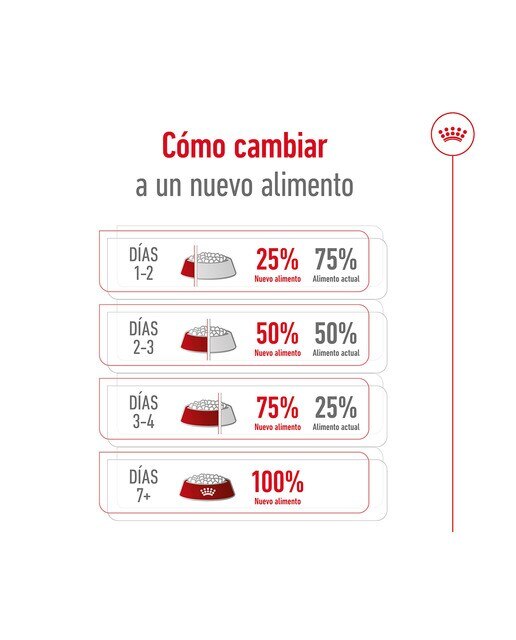Pienso para perros sénior Royal Canin Mini Ageing +12 1,5 kg 3