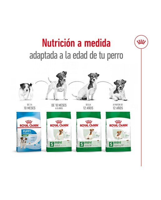 Pienso para perros sénior Royal Canin Mini Ageing +12 1,5 kg 6