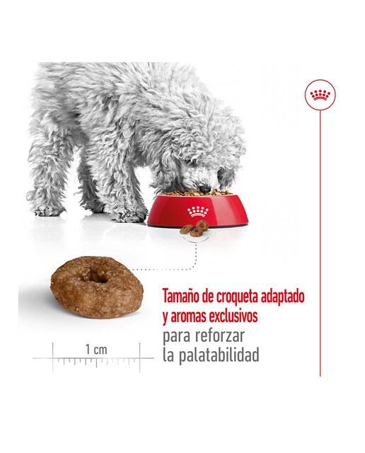 Pienso para perros sénior Royal Canin Mini Ageing +12 1,5 kg 7