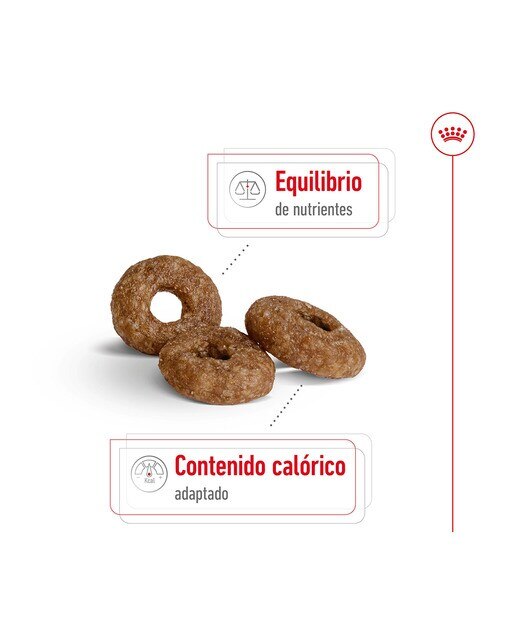 Pienso para perros sénior Royal Canin Mini Ageing +12 1,5 kg 8