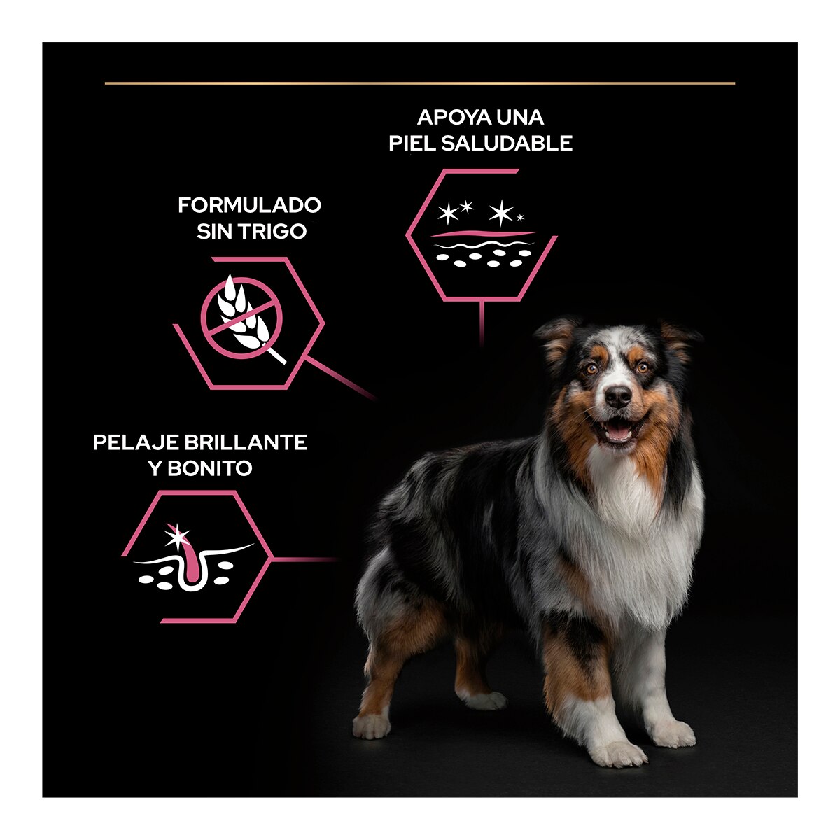Pienso para perros adultos medianos Purina Pro Plan Sensitive Skin salmón 6