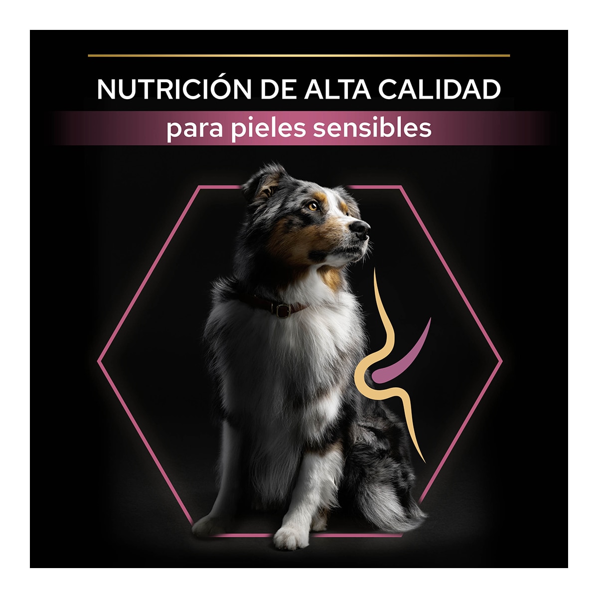 Pienso para perros adultos medianos Purina Pro Plan Sensitive Skin salmón 7