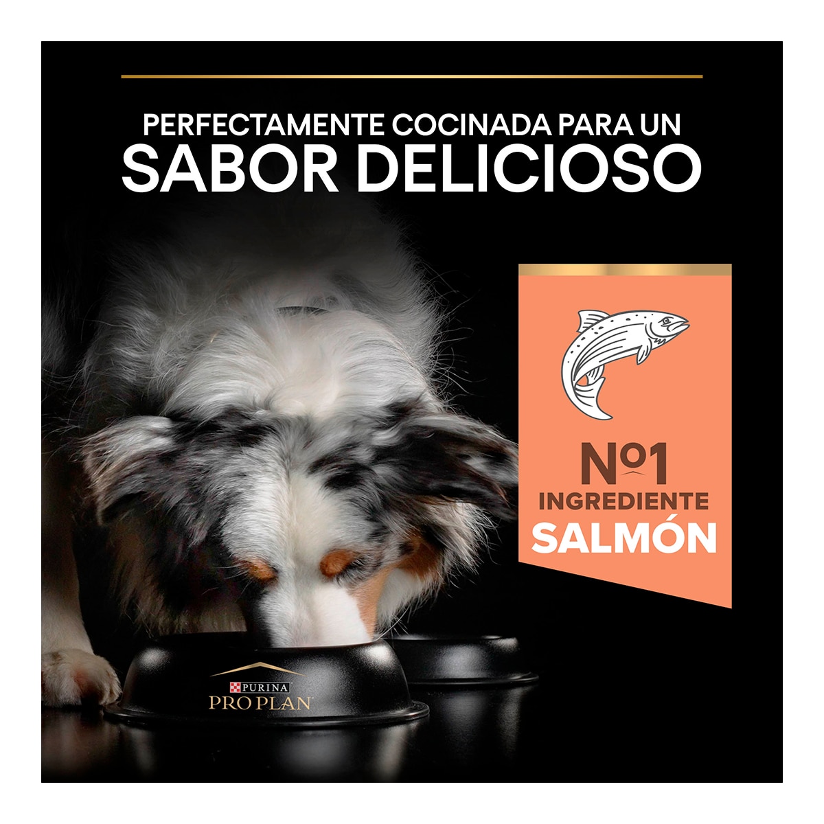 Pienso para perros adultos medianos Purina Pro Plan Sensitive Skin salmón 8