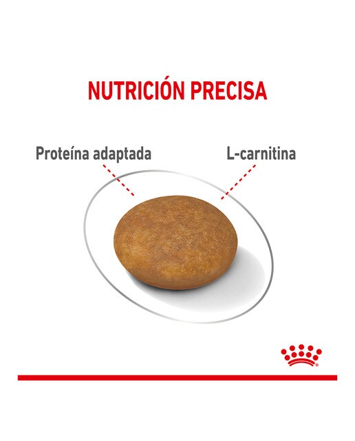 Imagen 2 de Pienso para perros adultos Royal Canin X-Small Light Weight Care 1,5 kg