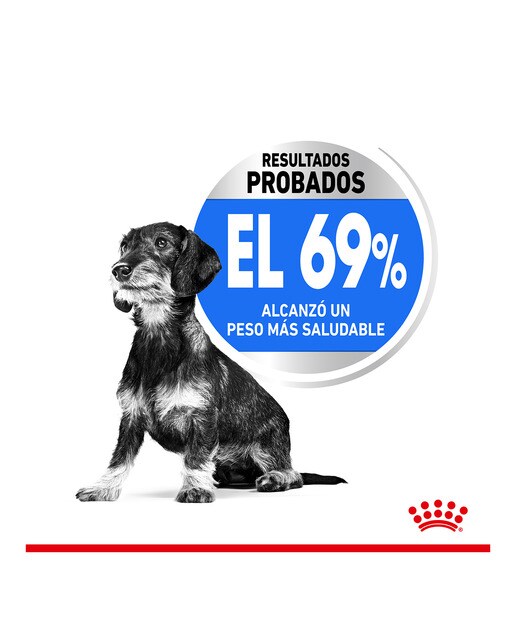 Imagen 4 de Pienso para perros adultos Royal Canin X-Small Light Weight Care 1,5 kg