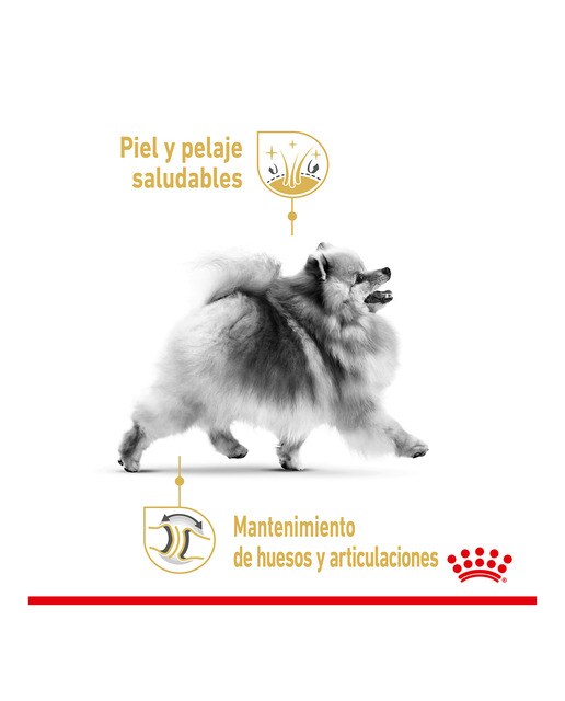 Pienso para perros adultos Royal Canin Pomeranian 3 kg 3