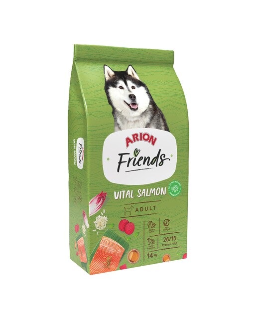 Arion Friends - Pienso para perros adultos Arion Friends salmón y arroz
