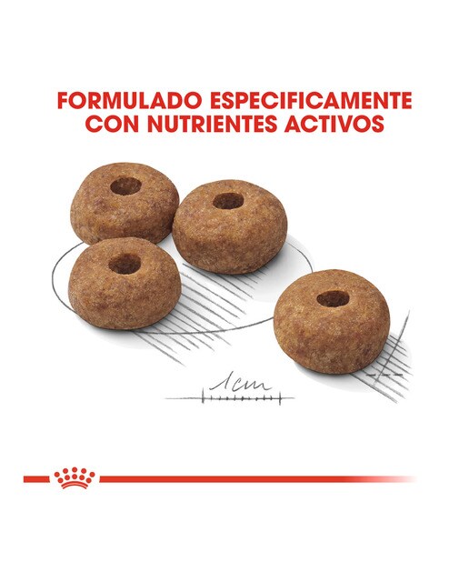Pienso para perros adultos medianos Royal Canin Sterilised 5