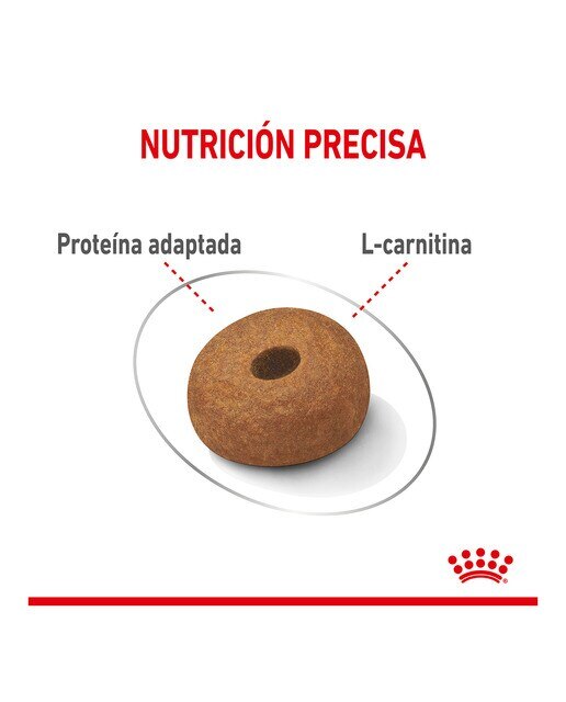 Pienso para perros adultos raza grande Royal Canin Light Weight Care Maxi 5