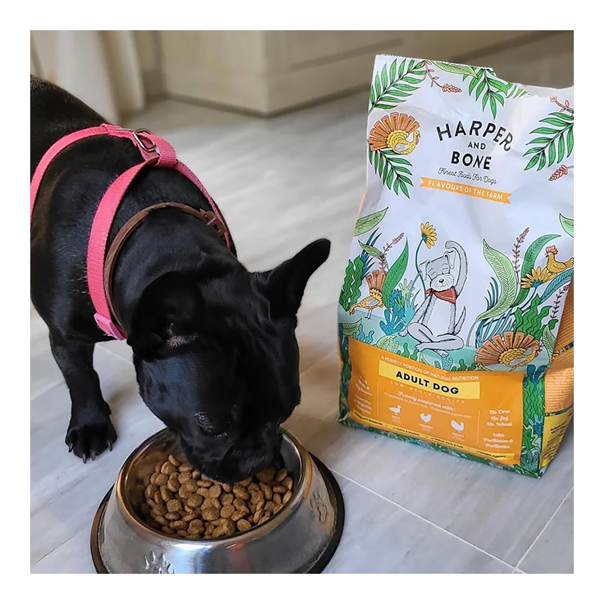 Pienso para perros adultos medianos, grandes y gigantes Harper and Bone pato, pollo y pavo 18 kg 3