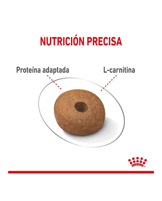 Imagen 5 de Pienso para perros adultos razas medianas Royal Canin Medium Light Weight Care
