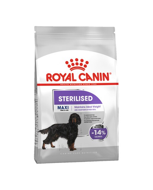 Royal Canin - Pienso para perros adultos raza grande Royal Canin Maxi Adult esterilizado 12 kg