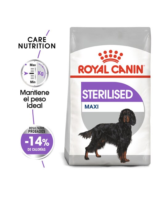 Imagen 2 de Pienso para perros adultos raza grande Royal Canin Maxi Adult esterilizado 12 kg