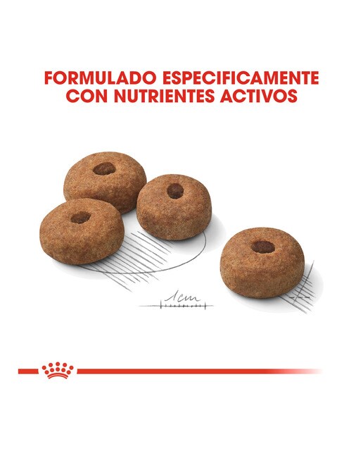 Imagen 5 de Pienso para perros adultos raza grande Royal Canin Maxi Adult esterilizado 12 kg