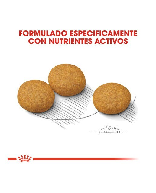 Pienso para perros adultos Royal Canin Medium Dermacomfort 5