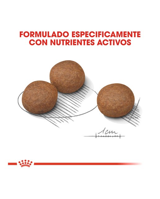 Imagen 5 de Pienso para perros adultos medianos Royal Canin Digestive Care 12 kg