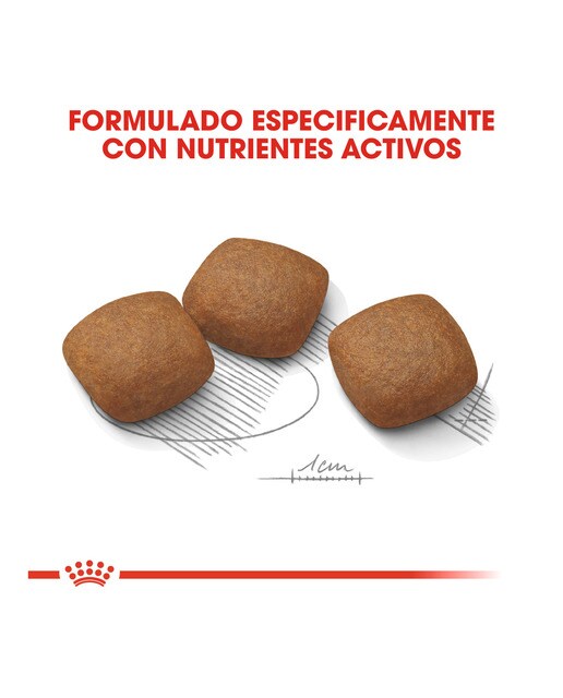 Pienso para perros adultos raza grande Royal Canin articulaciones 10 kg 5