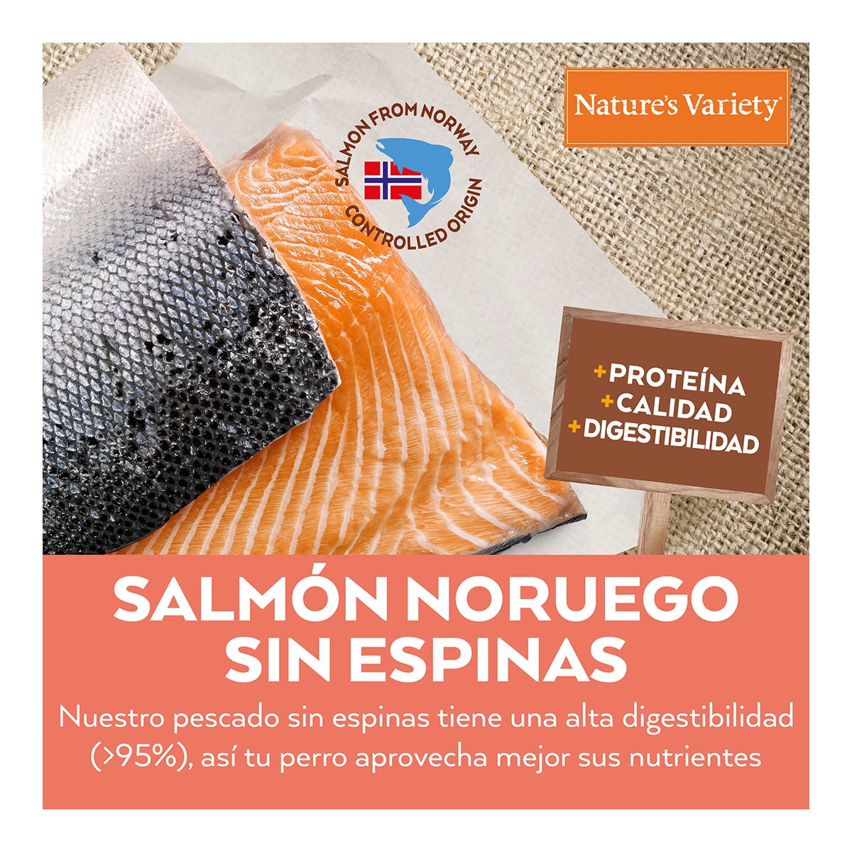 Pienso para perros cachorros minis Nature's Variety No Grain salmón 2
