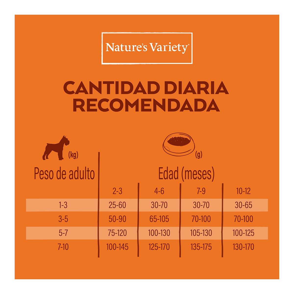 Pienso para perros cachorros minis Nature's Variety No Grain salmón 5