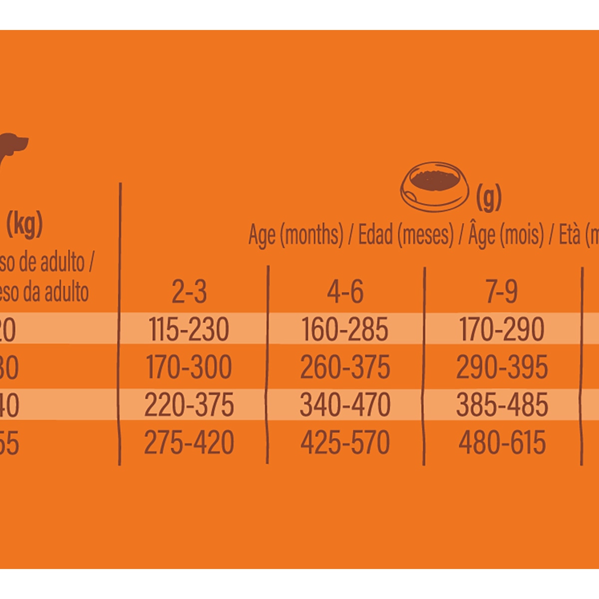 Pienso para perros cachorros medianos y grandes Healthy Grains Nature's Variety pollo 7