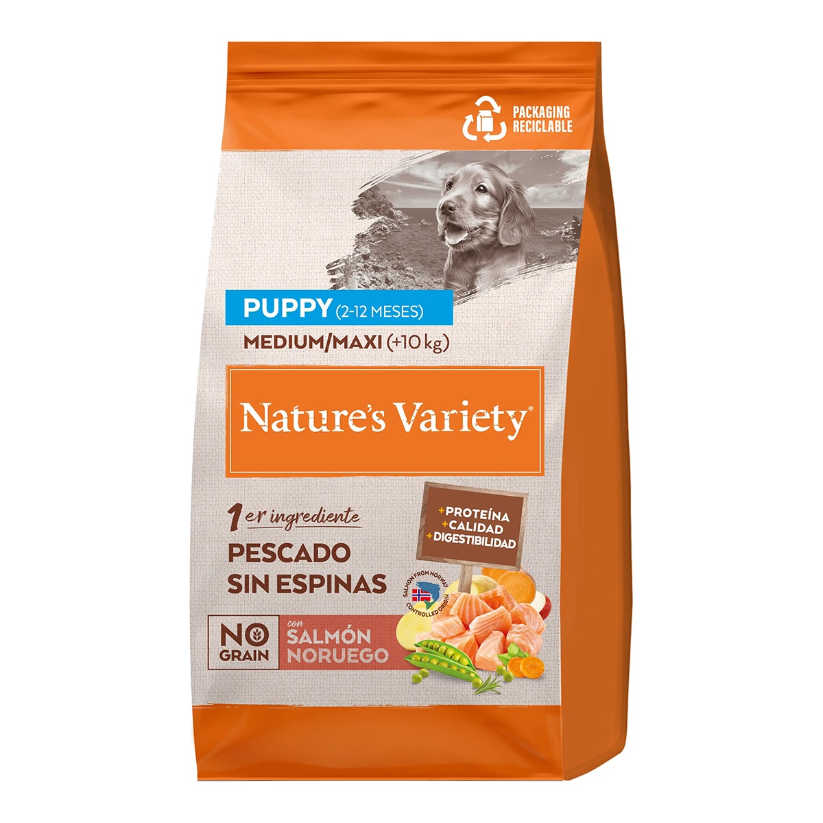 Nature's Variety - Pienso para perros cachorros medianos y grandes Nature's Variety No Grain salmón noruego