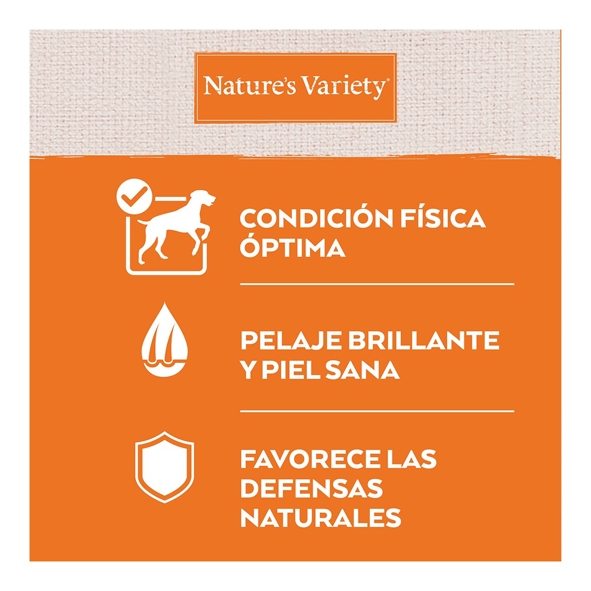 Pienso para perros adultos medianos y grandes Nature's Variety No Grain pollo 5
