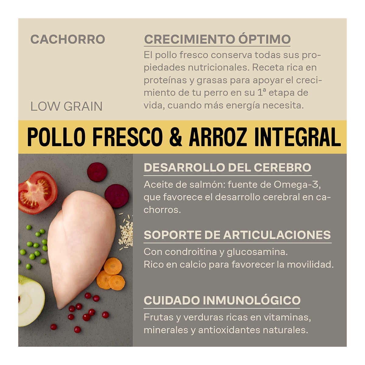 Pienso para perros adultos mini Givers salmón fresco y pescado blanco 2