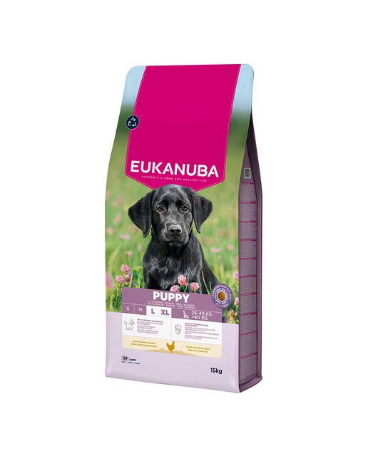 Imagen 0 de Pienso para perros cachorros grandes Eukanuba pollo fresco 15 kg