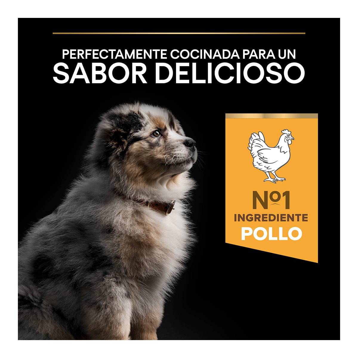 Pienso para perros cachorros medianos Pro Plan pollo 12 + 2 kg 7